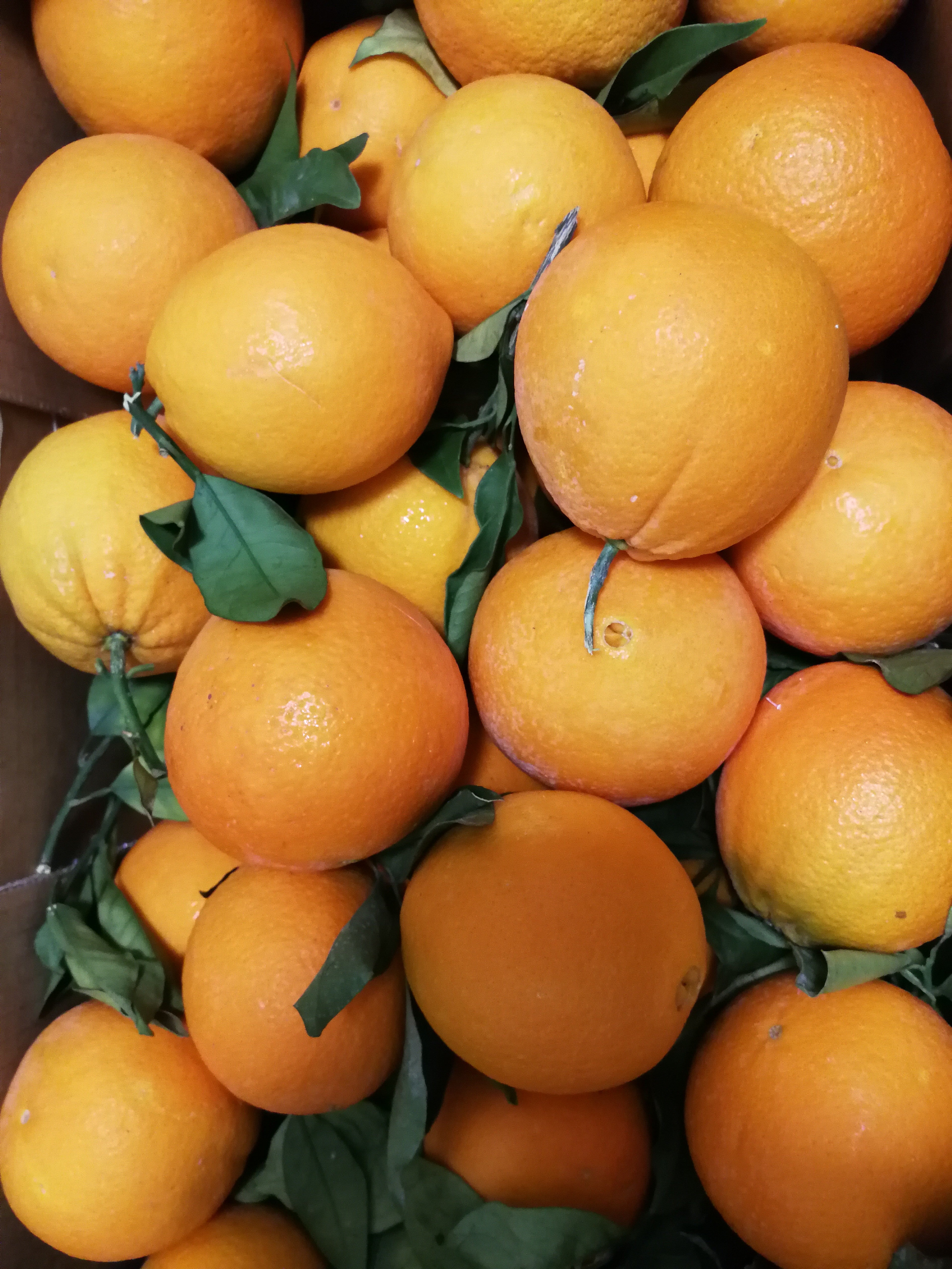 Pomarańcze 1 kg