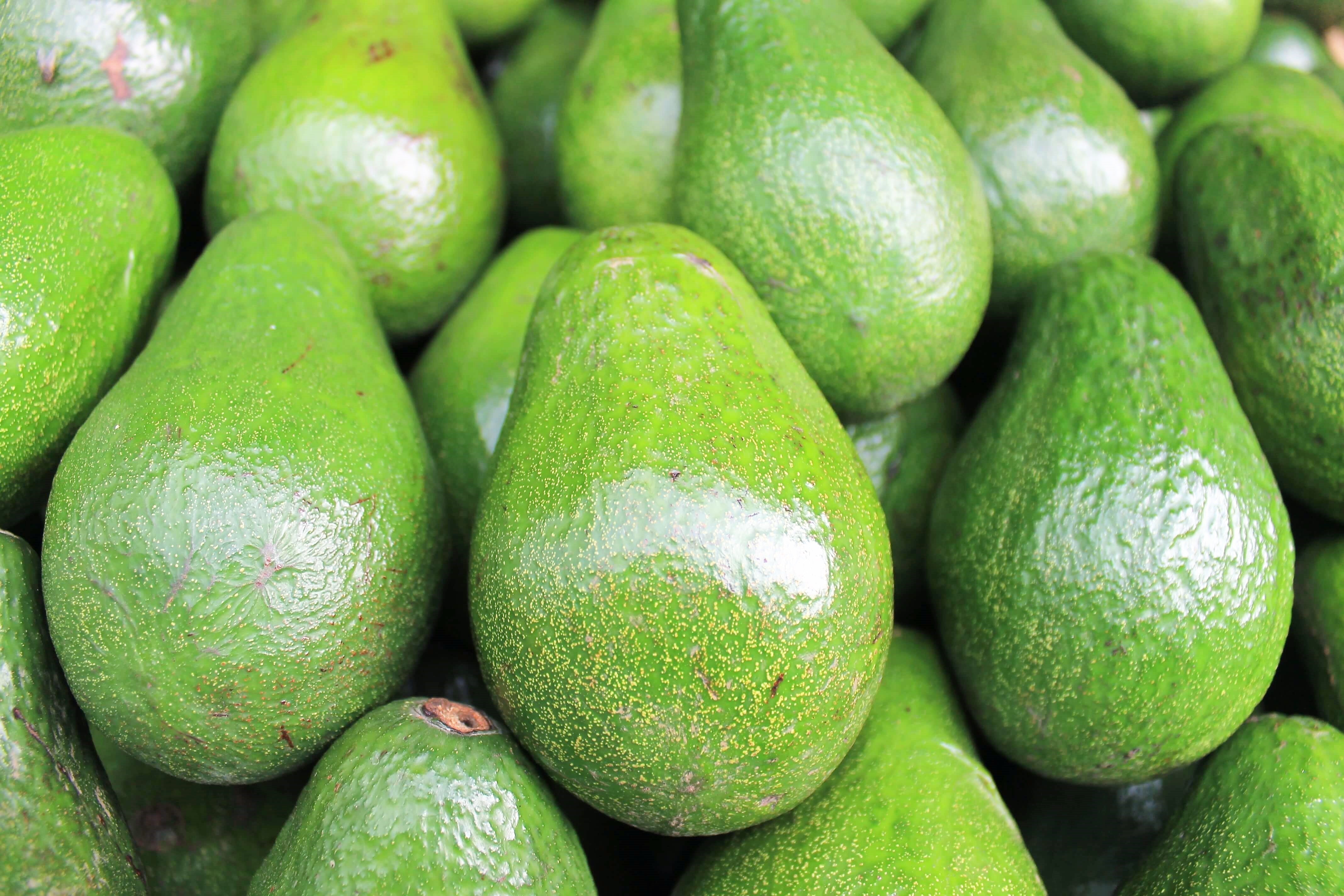 Awokado Fuerte 1 kg