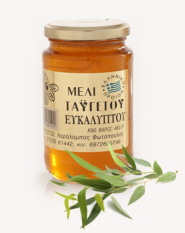 Miód eukaliptusowy 460 g