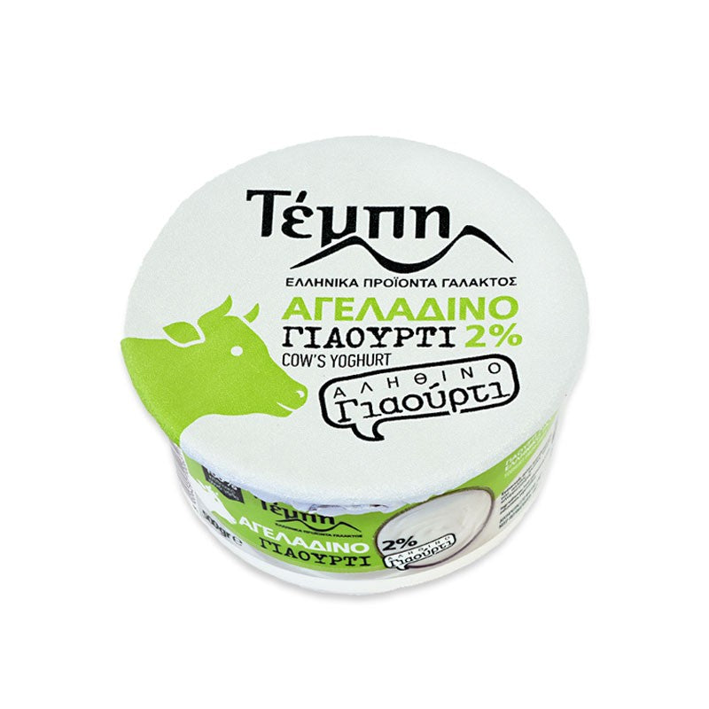 Jogurt grecki Tempi 2% 500 g