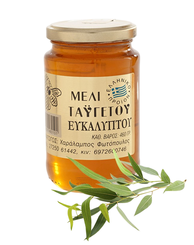 Miód eukaliptusowy 460 g