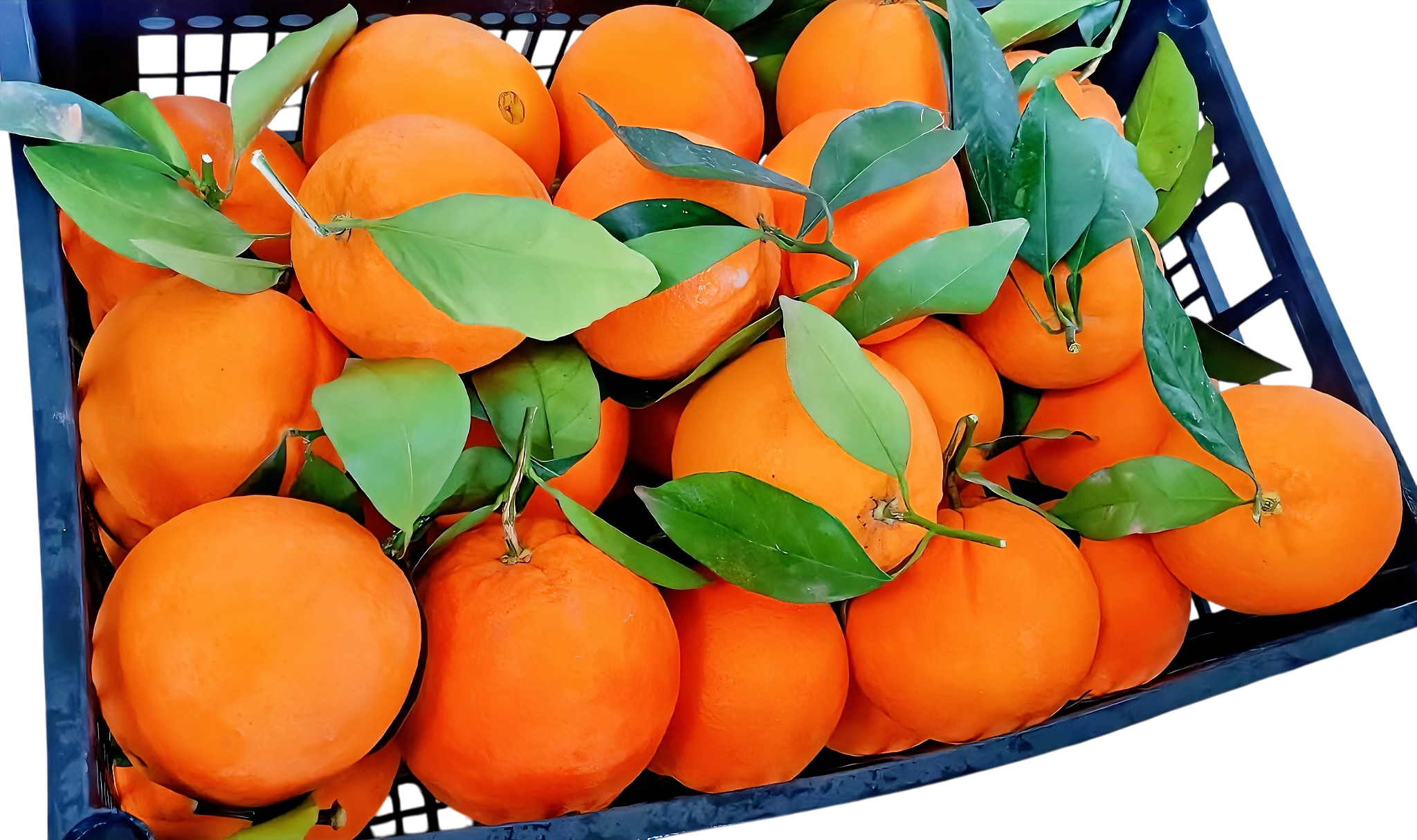 Pomarańcze 1 kg