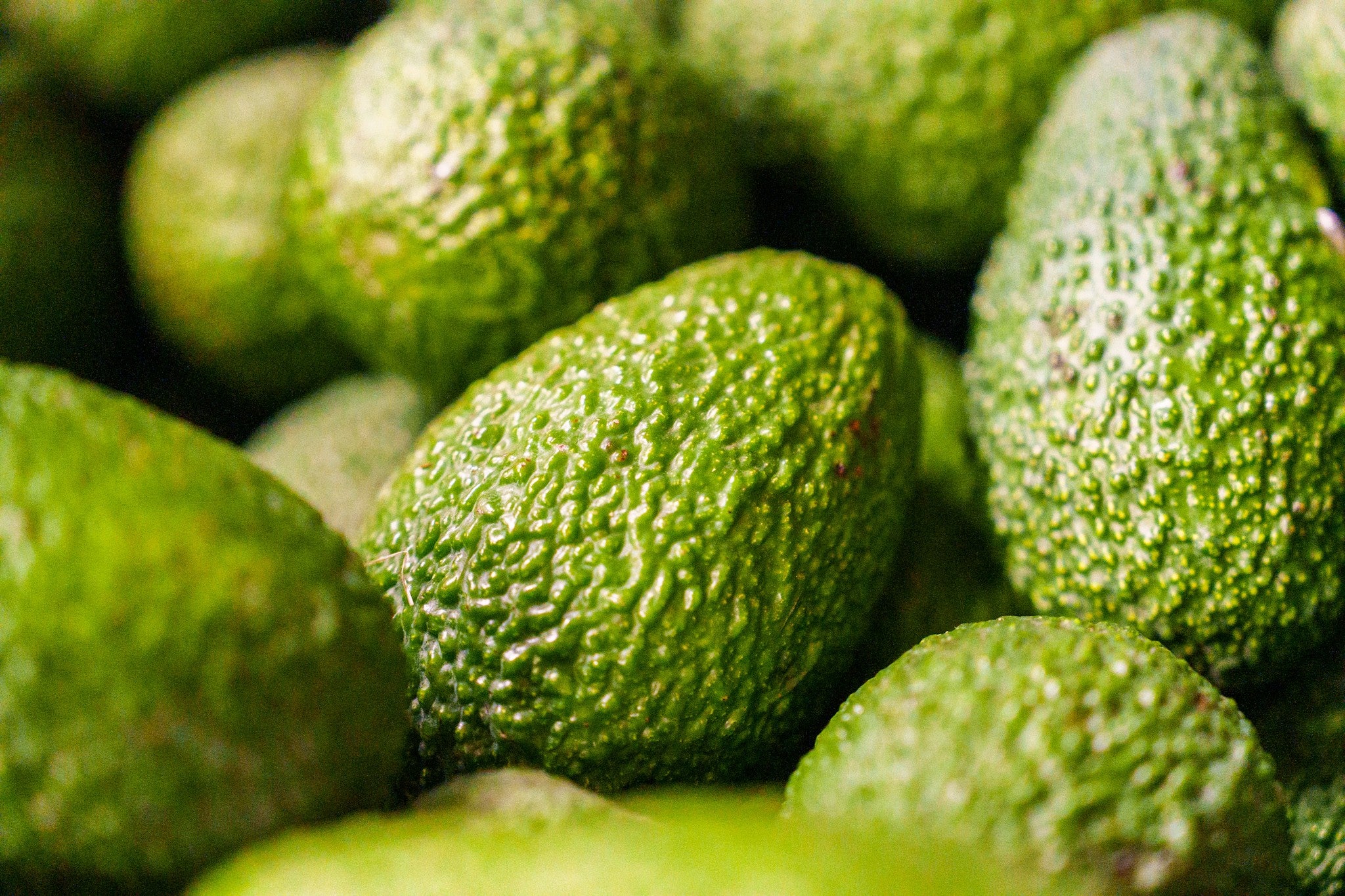Awokado Hass z Krety  1kg