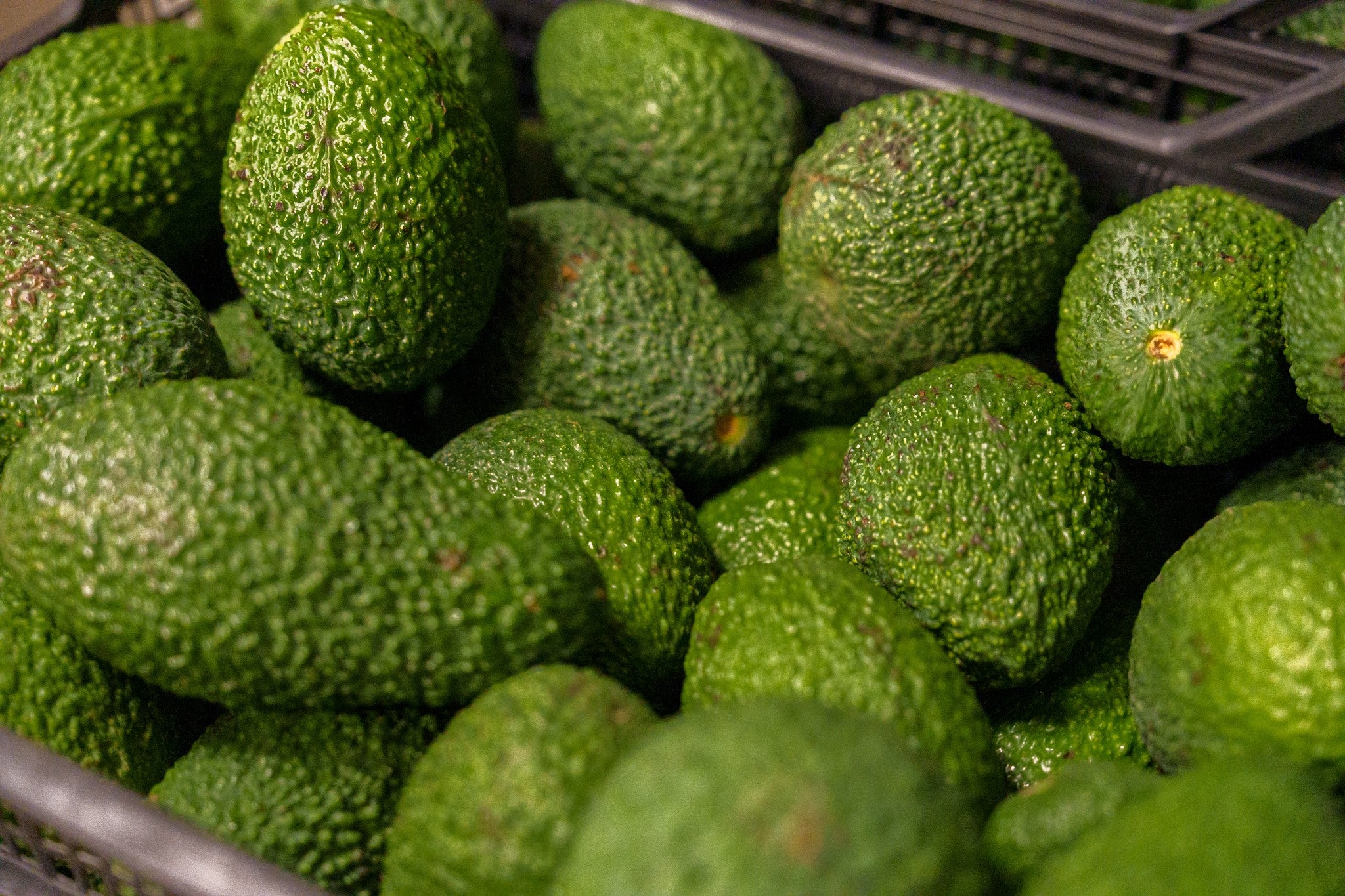 Awokado Hass z Krety  1kg