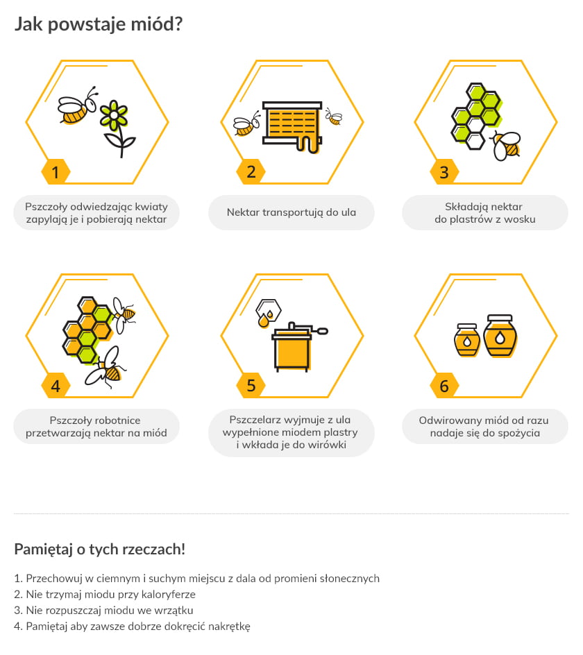 Jak powstaje miód? Infografika